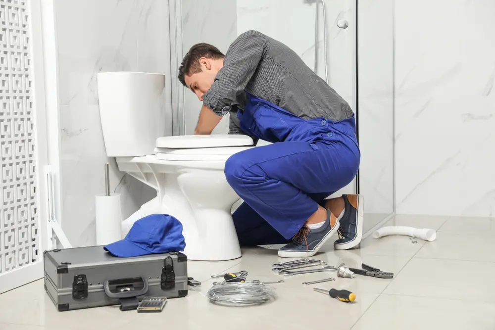 Toilet Installation in Bell Hill